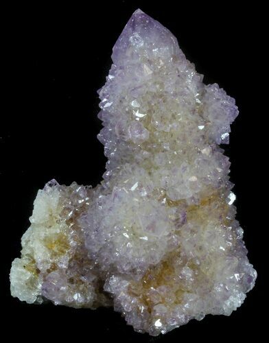 Cactus Quartz (Amethyst) Crystals - South Africa #34965